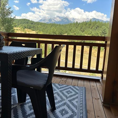 Апартаменты Pm Mountain View Fireside Retreat Банско Экстерьер фото