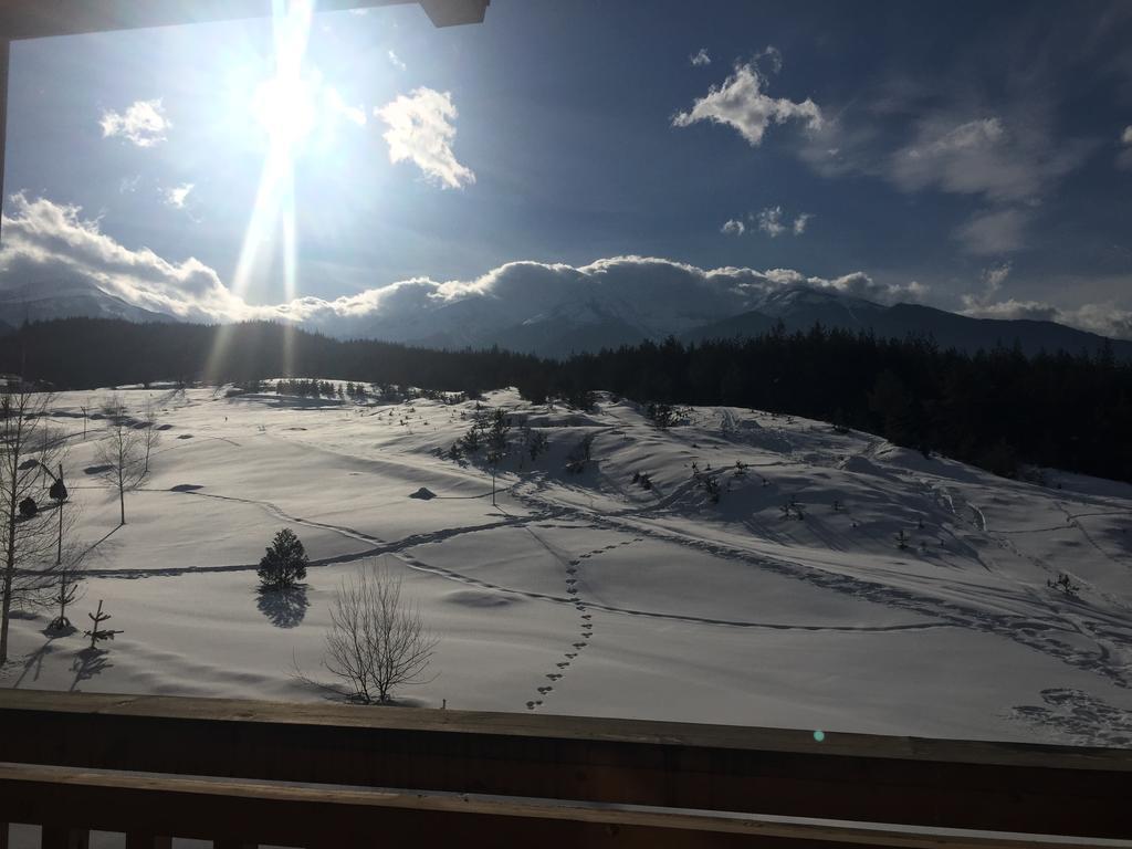 Апартаменты Pm Mountain View Fireside Retreat Банско Экстерьер фото